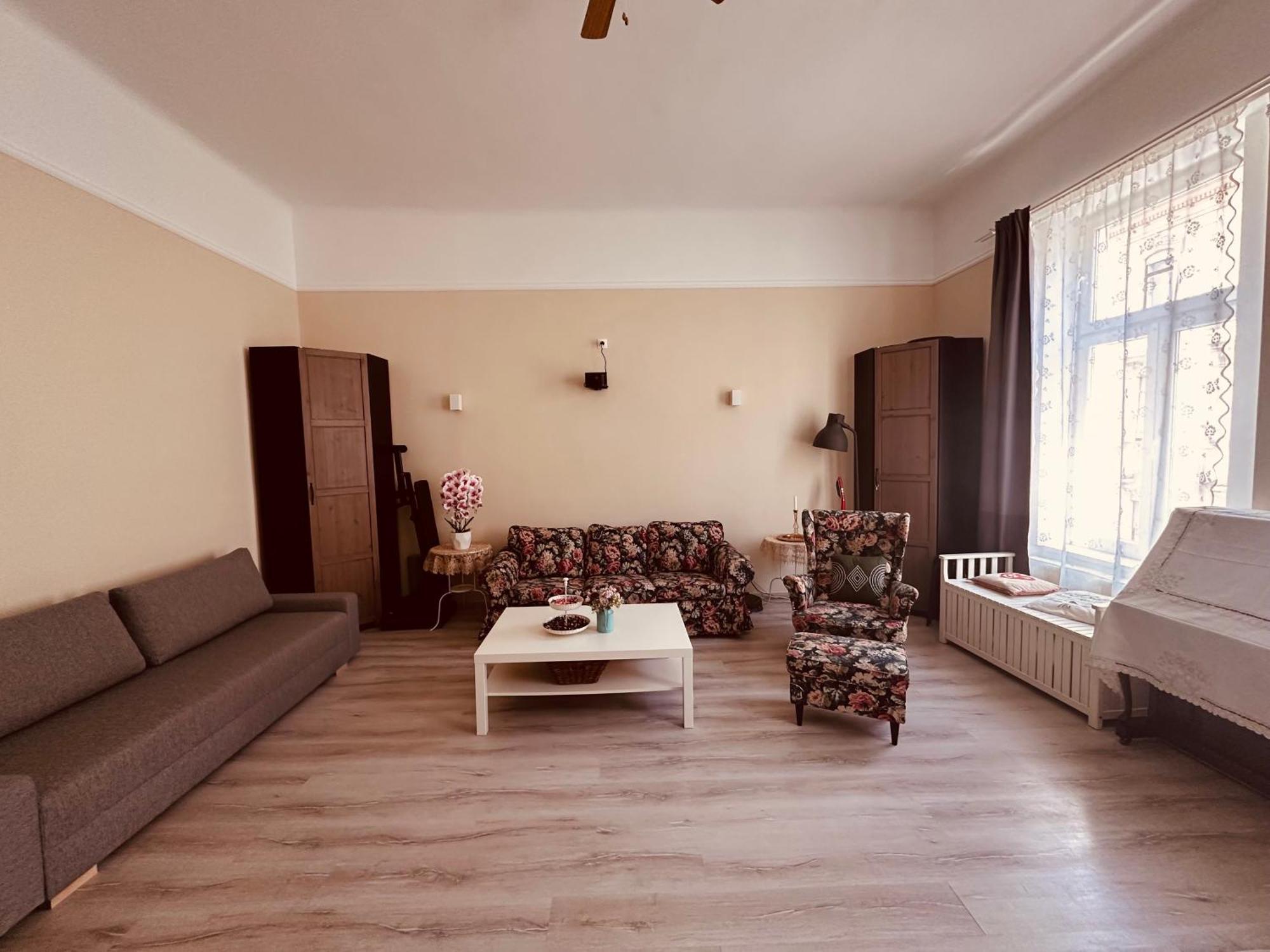 Spacious And Stylish Jokai Apartment